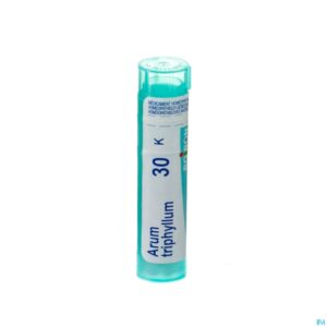 Packshot Arum Triphyllum 30k Gr 4g Boiron