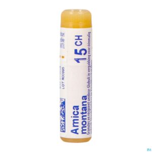 Packshot Arnica Montana 15ch Gl Boiron