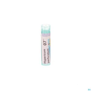 Packshot Hypericum Perforatum 7ch Gr 4g Boiron