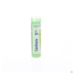 Packshot Cantharis 5ch Gr 4g Boiron