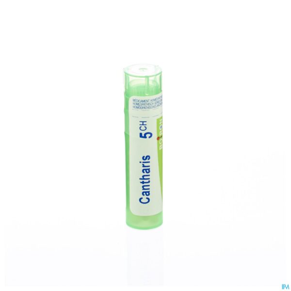 Packshot Cantharis 5ch Gr 4g Boiron