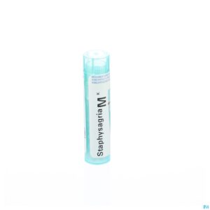 Packshot Staphysagria Mk Gr 4g Boiron
