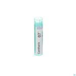 Packshot Cantharis 7ch Gr 4g Boiron
