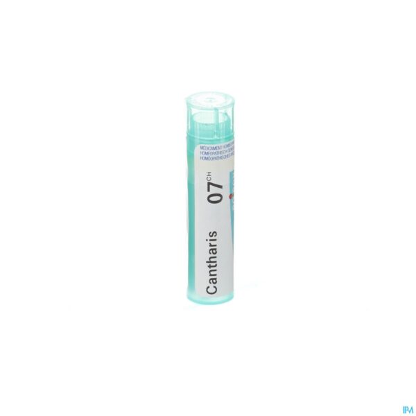 Packshot Cantharis 7ch Gr 4g Boiron