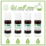 Lifestyle_image Phytosun Ravintsara Fr-bio-01 5ml