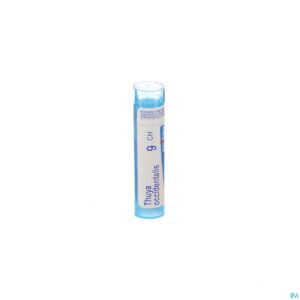 Packshot Thuya Occidentalis 9ch Gr 4g Boiron