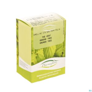 Packshot Thee Groen Doos 100g Fag