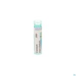 Packshot Conium Maculatum 200k Gr 4g Boiron