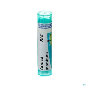 Packshot Arnica Montana Xmk Gr 4g Boiron