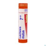 Packshot Lachesis Mutus 7ch Gr 4g Boiron