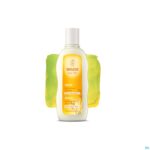 Productshot Weleda Haver Herstellende Shampoo 190ml