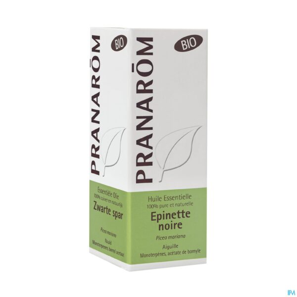 Packshot Pranarom Eo Zwarte Spar Bio 10ml Packshot Pranarom Eo Zwarte Spar Bio 10ml