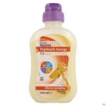 Packshot Nutrini Peptisorb Energy 0,5l