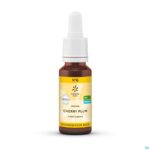 Packshot Bachbloesem Bio N°06 Cherry Plum 20ml