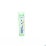 Packshot Gelsemium Sempervirens 5ch Gr 4g Boiron