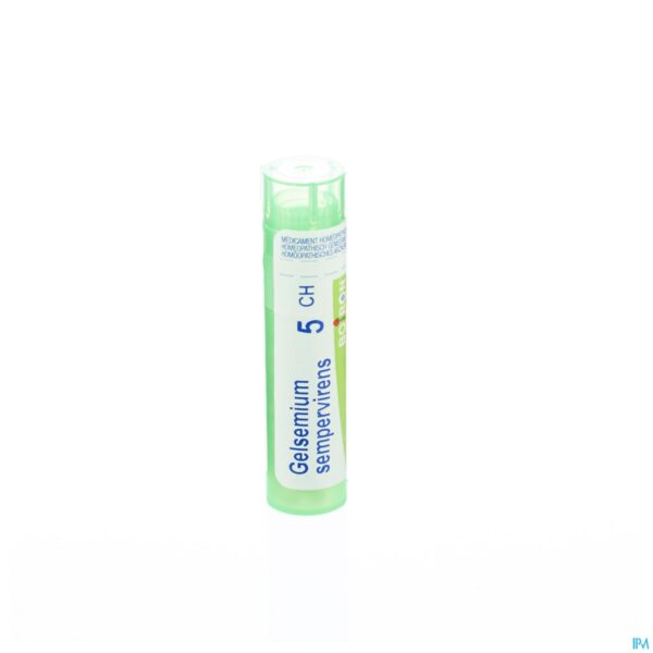 Packshot Gelsemium Sempervirens 5ch Gr 4g Boiron