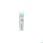 Packshot Graphites 7ch Gr 4g Boiron