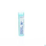 Packshot Gelsemium Sempervirens 30k Gr 4g Boiron