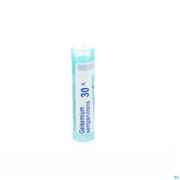 Packshot Gelsemium Sempervirens 30k Gr 4g Boiron