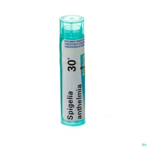 Packshot Spigelia Anthelmia 30k Gr 4g Boiron