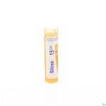 Packshot Silicea 15ch Gr 4g Boiron