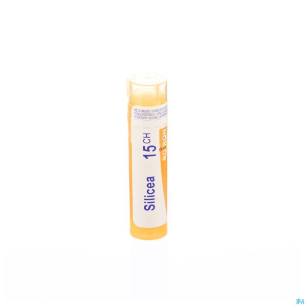 Packshot Silicea 15ch Gr 4g Boiron
