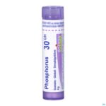Packshot Phosphorus 30ch Gr 4g Boiron