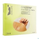 Packshot Cerederm Pleister Silic Anker 13x22cm 10 4309697