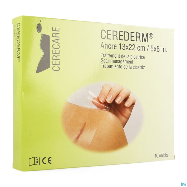 Packshot Cerederm Pleister Silic Anker 13x22cm 10 4309697 Packshot Cerederm Pleister Silic Anker 13x22cm 10 4309697