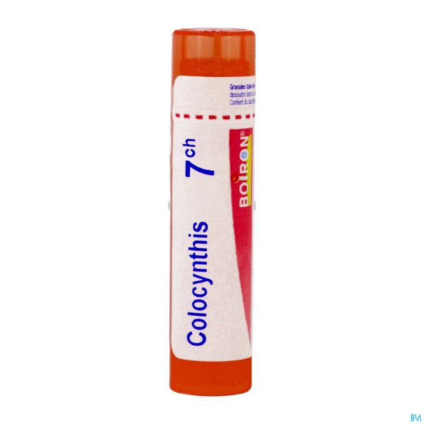 Packshot Colocynthis 7ch Gr 4g Boiron