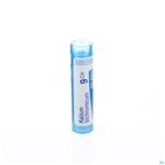 Packshot Kalium Bichromicum 9ch Gr 4g Boiron