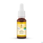 Packshot Bachbloesem Bio N°12 Gentian 20ml