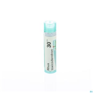 Packshot Rhus Toxicodendron 30ch Gr 4g Boiron