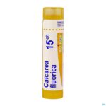 Packshot Calcarea Fluorica 15ch Gr 4g Boiron