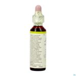 Packshot Bach Flower Remedie 21 Mustard 20ml