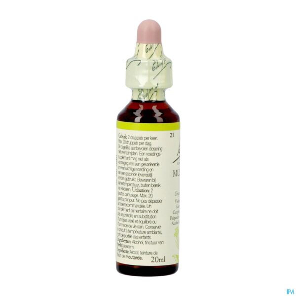 Packshot Bach Flower Remedie 21 Mustard 20ml