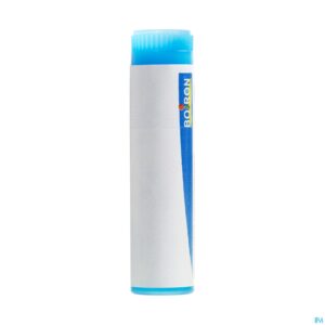 Packshot Arnica Montana Mk Gl Boiron