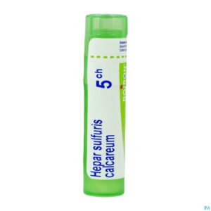 Packshot Hepar Sulfuris Calcareum 5ch Gr 4g Boiron