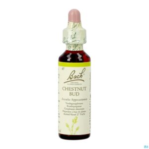 Packshot Bach Flower Remedie 07 Chestnut Bud 20ml