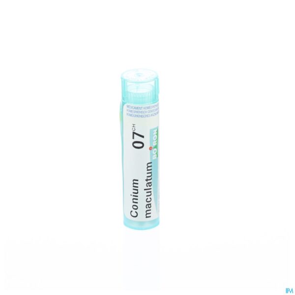 Packshot Conium Maculatum 7ch Gr 4g Boiron