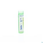 Packshot Sulfur 5ch Gr 4g Boiron