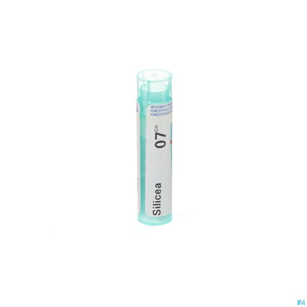 Packshot Silicea 7ch Gr 4g Boiron