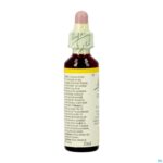 Packshot Bach Flower Remedie 13 Gorse 20ml