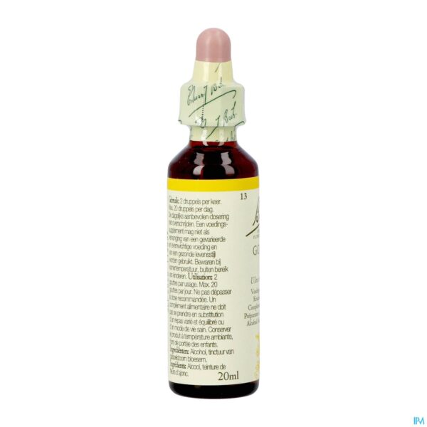 Packshot Bach Flower Remedie 13 Gorse 20ml