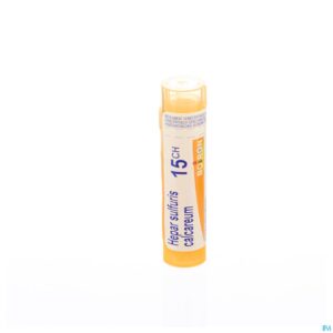 Packshot Hepar Sulfuris Calcareum 15ch Gr 4g Boiron