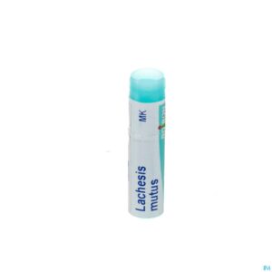 Packshot Lachesis Mutus Mk Gl Boiron