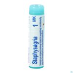 Packshot Staphysagria Mk Gl Boiron