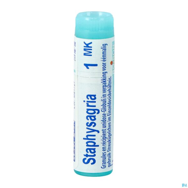 Packshot Staphysagria Mk Gl Boiron
