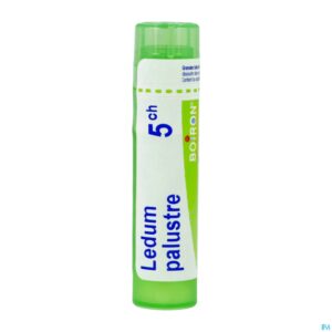 Packshot Ledum Palustre 5ch Gr 4g Boiron