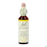 Packshot Bach Flower Remedie 28 Scleranthus 20ml